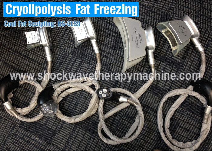Safety Coolsculpting Slimming Beauty Machine For Fat Reduction / Body Contouring