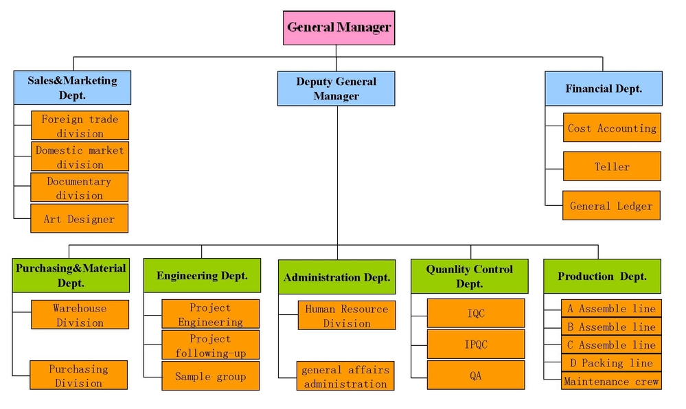 company organization