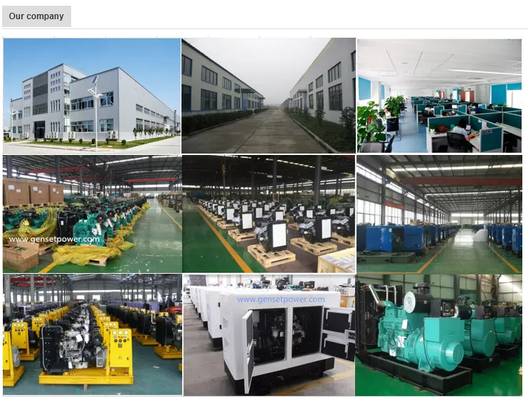 150kw 250kw natural gas generator power station LNG CNG Biogas genset electricity Altronic ignition system