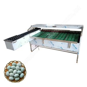 Egg Sorting Machine By Weight Sorting Line For Sorting Eggs Egg Sorting Grading