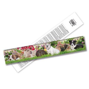 Customizable Lenticular 3d Ruler PET Home Decorations With 3D Animation Effect