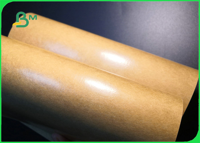 300gsm 350gsm Greaseproof PE Coated Kraft Paper For Lunch Box Food Safety