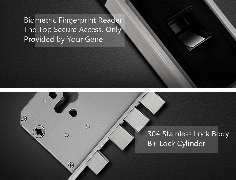 Stainless Steel Fingerprint Door Lock RFID Card Simple Modern Optical Sensor