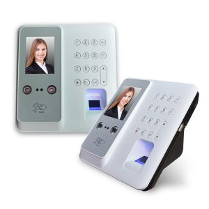 RFID Card Staff Wifi TCP IP Face Reader Attendance Machine