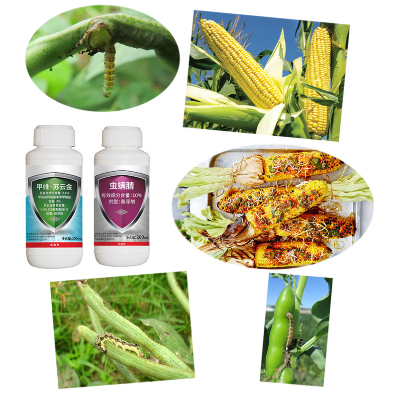 2.4% Emamectin Benzoate Bt Corn Borer Pesticide Insecticide For Paddy Crop