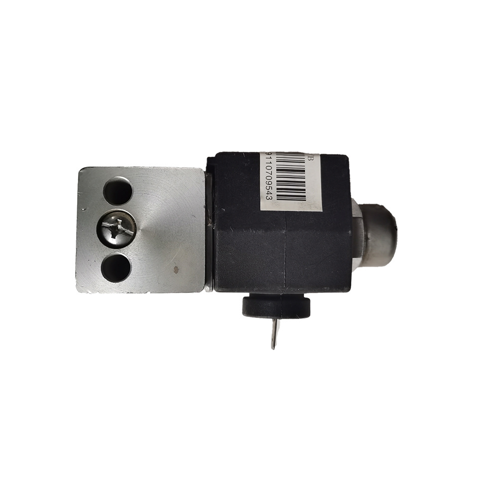 Sinotruk HOWO Solenoid Valve Single /Double Plug for Sale Wg9100710008