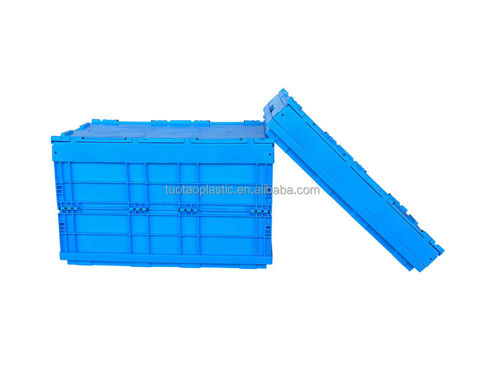 PE Material Custom Plastic Egg Tray for Food Storage Container Sturdy Mesh Style