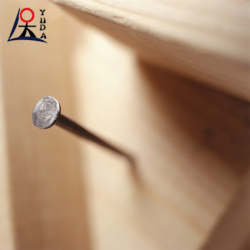 Polished Steel Nail Raw Material Wire Common Iron Nails Smooth Shank