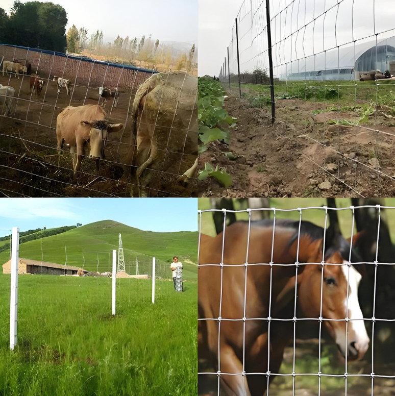 2.0MM High Tensile Wire Durable Cattle Fencing Weather Resistant
