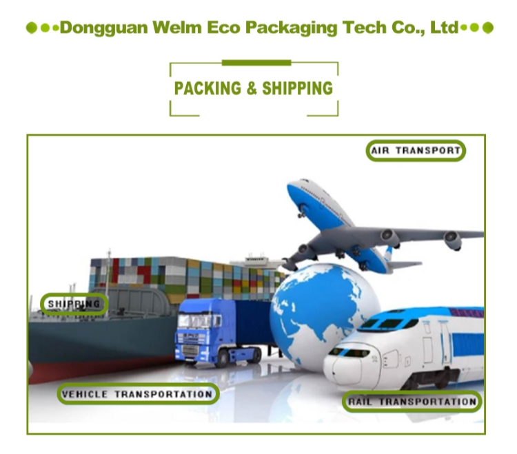 Biodegradable Burger Hamburger French Fries Boxes Package Customized Shape