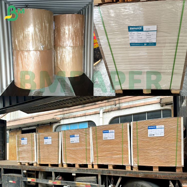 250gsm + 15g Waterproof Strong Extensibility PE Cup Stock Paper For Hot & Cold Drink Drinks Cup