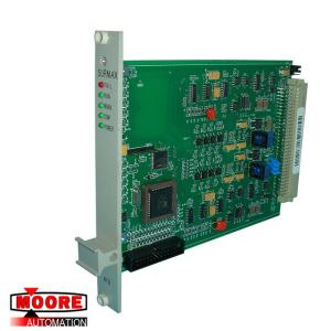 SUPMAX RTD/SM316 Digital Outputs