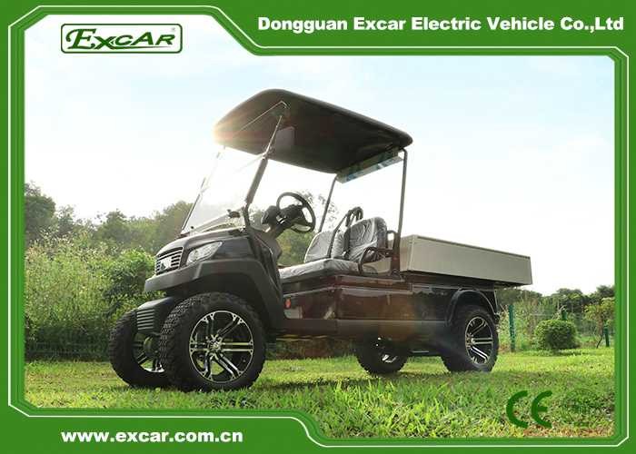 14 Inch Tires Hunting Utility Electric Golf Buggies With Cargo Box