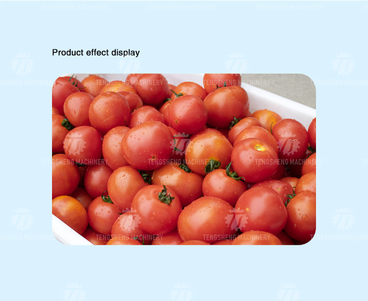 Vegetable Potato Parallel Hair Roller Cleaning Machine 1200kg/h