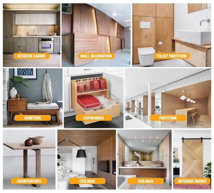 Soild Color High Pressure Laminate Phenolic HPL Plywood