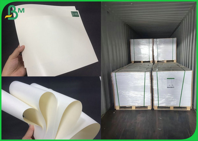 Adiabatic and foodgrade Lamination Cup Paper of 160G +15G pe Coated