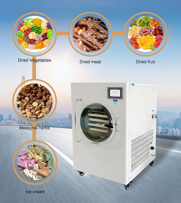 Freeze Dryer Vacuum Biological Lyophilization For Food Vegetable Meat Candy