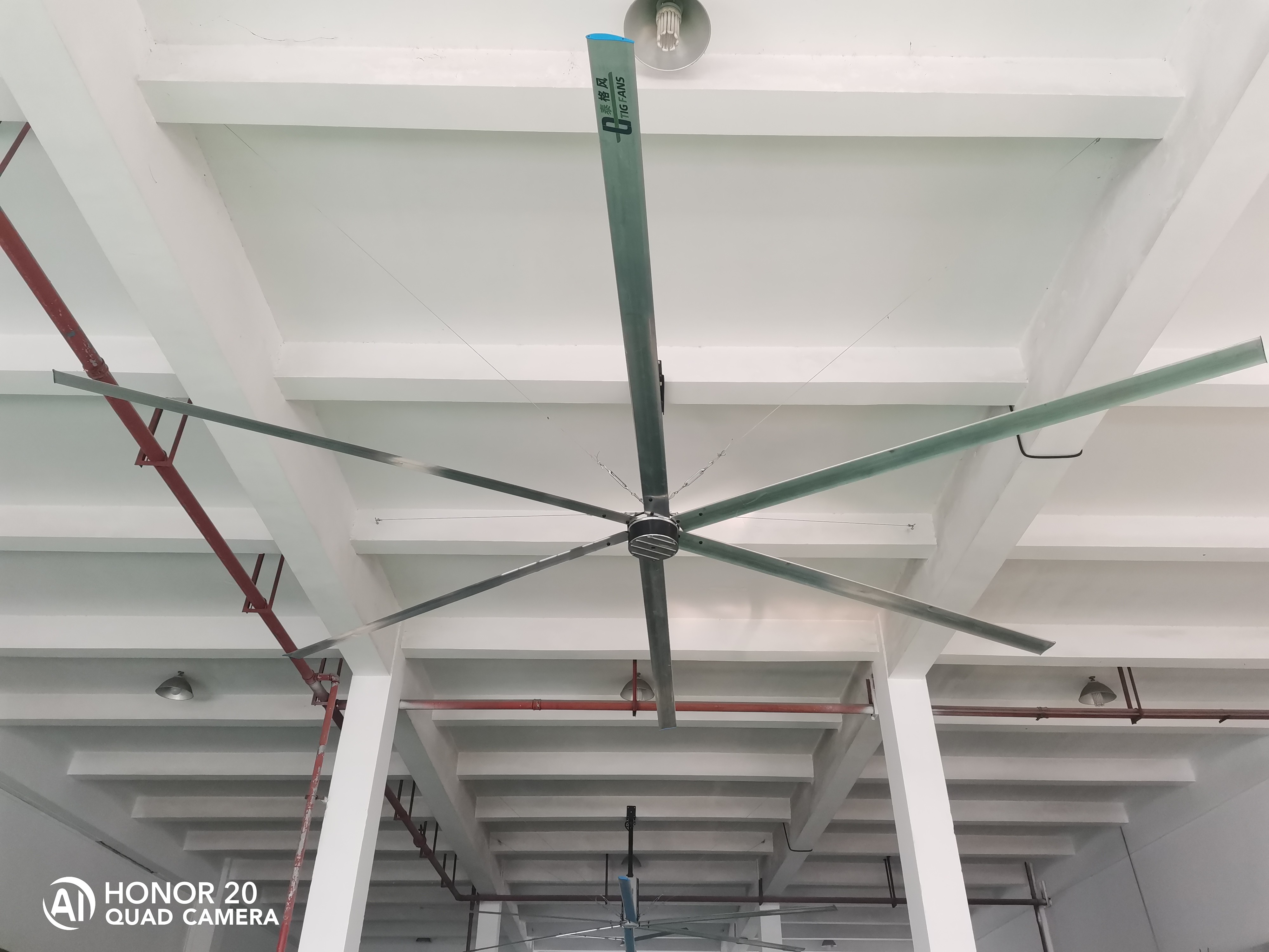 17ft 5m 4 Blades Exhaust Fan Cooler Self Control For Livestock Ventilation