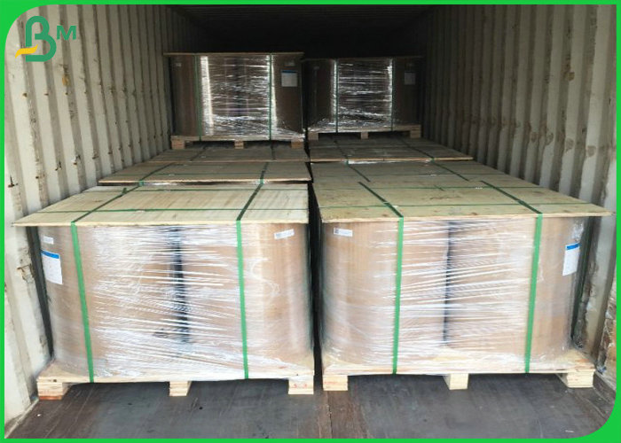 50g 55g White Blue Color Carbonless Copy Paper Wood Pulp Roll 