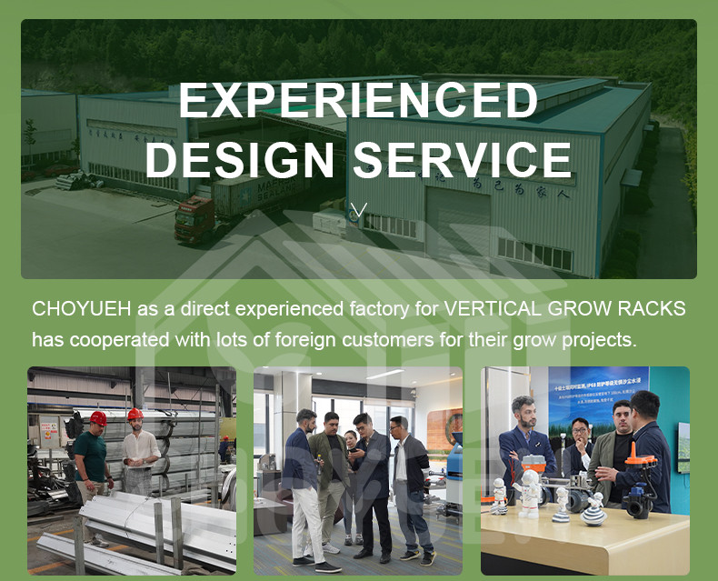 Construction Irrigation Holding Stands Intelligent Home Hydroponic Lettuce Aquaphonics Growing System