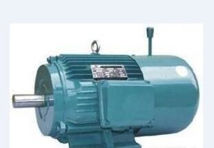 Blue Asynchronous Electric High Torque Motor 5.5kw Spindle Neo Motor Trifasico