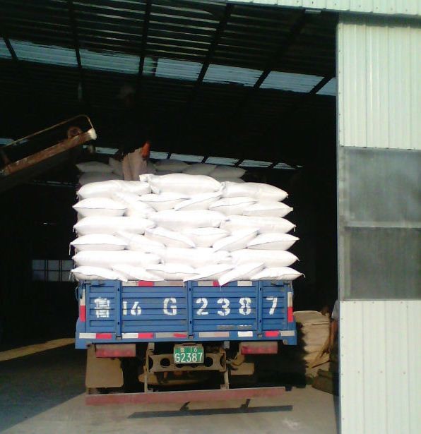 detergent powder /washing powder/OEM laundry detergent washing powder
