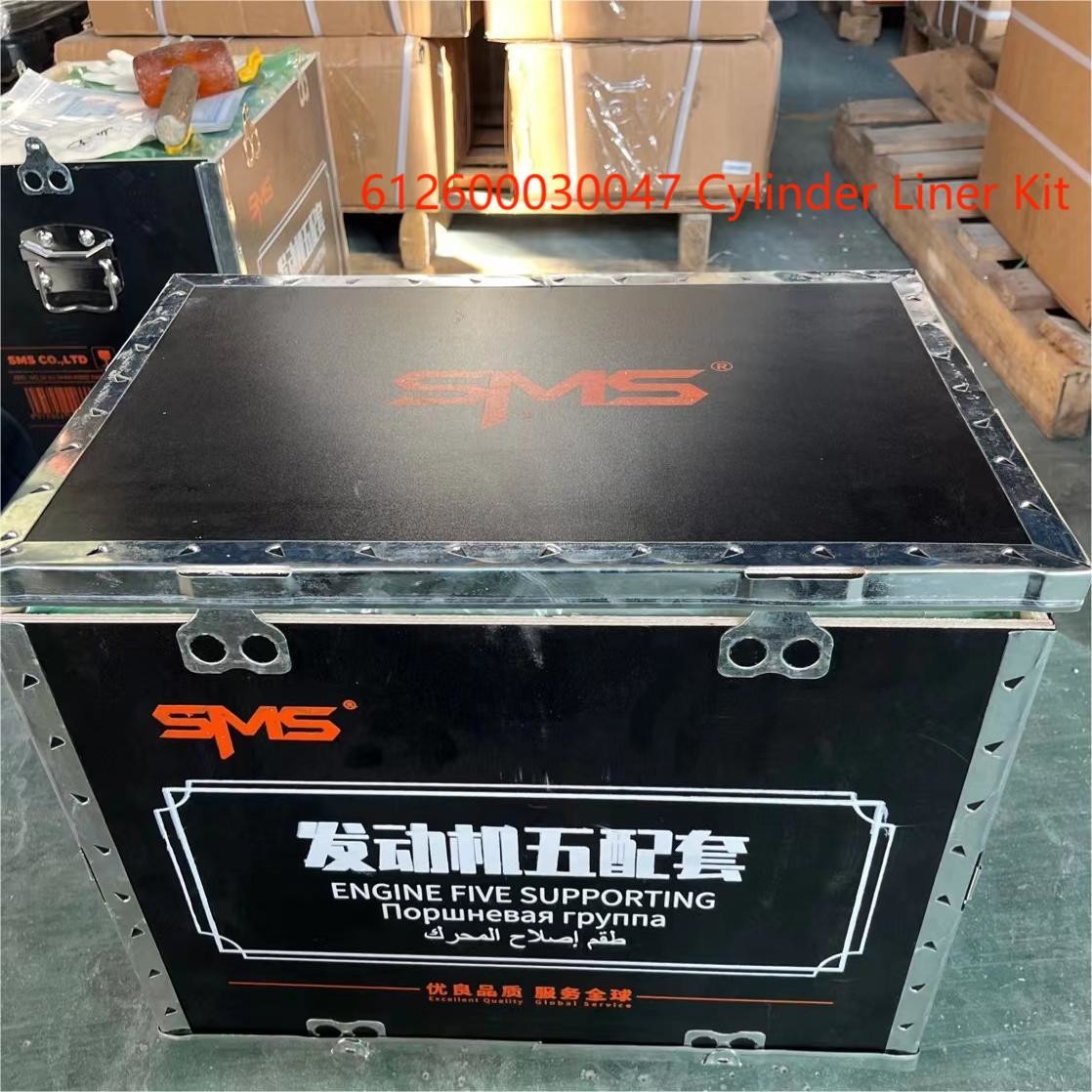 612600030047 Cylinder Liner WEICHAI Engine Parts Piston Ring Pin Engine WP10 Five Supporting