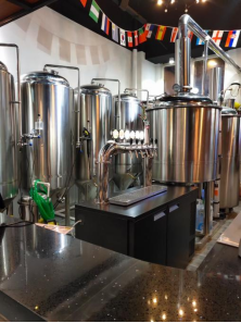 1000L Conical Beer Fermenter for Hotel Beer Fermenting Solution System