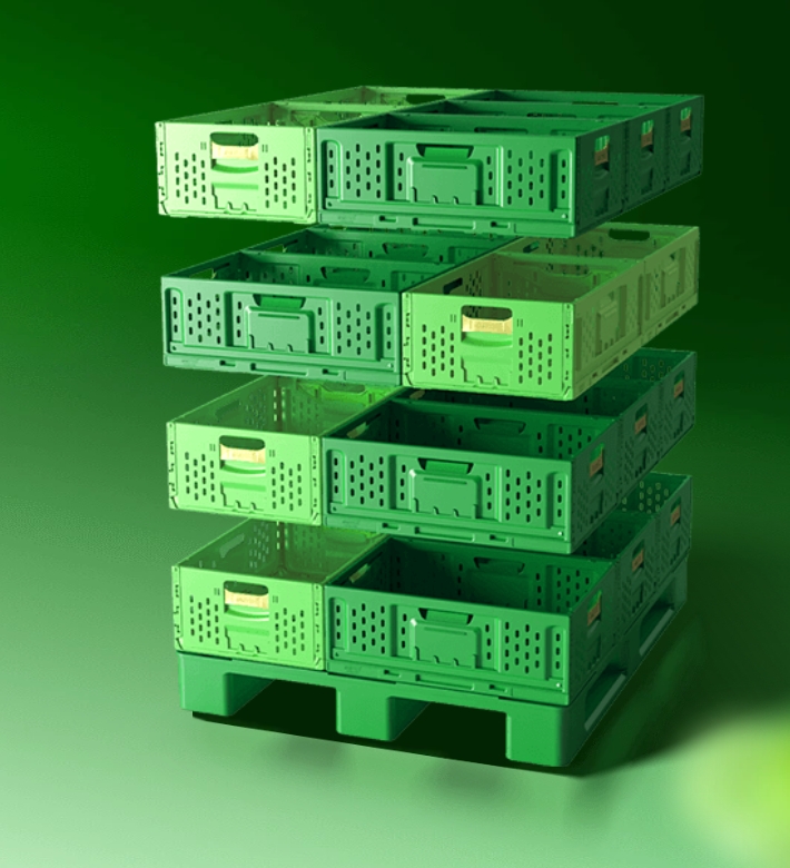 Customized Logo Green Collapsible Plastic Mesh Storage Crate for Vegetables and Fruits