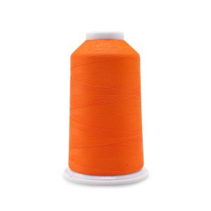 120D/2 150D/2 300D/2 Polyester Color Changing Embroidery Thread for Machine