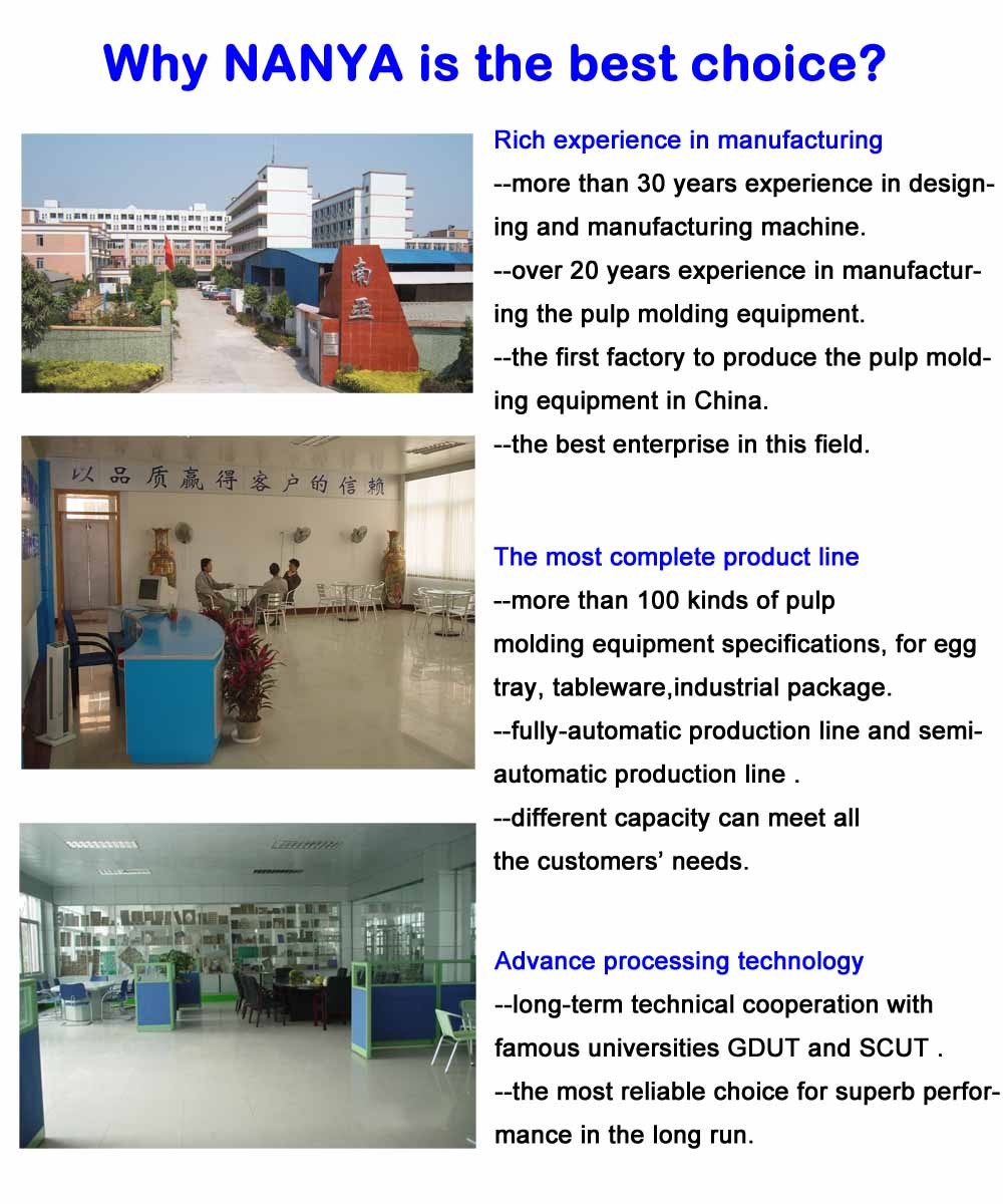Molding Pulp Egg Tray Making Machine Fruit Tray Production Line Single Layer