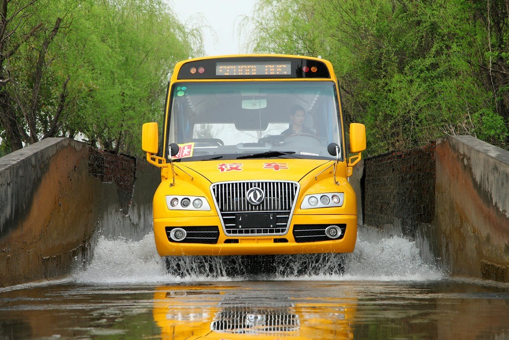 Euro4 Dongfeng 4x2 EQ6660S4D School Bus