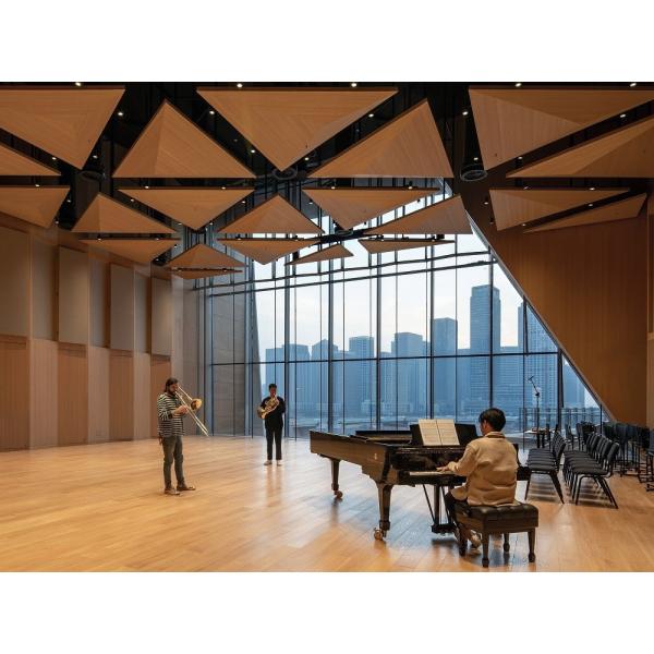 Training Room 3D Triangle Micro Perforated Acoustic Diffuser Ceiling Tile Wooden