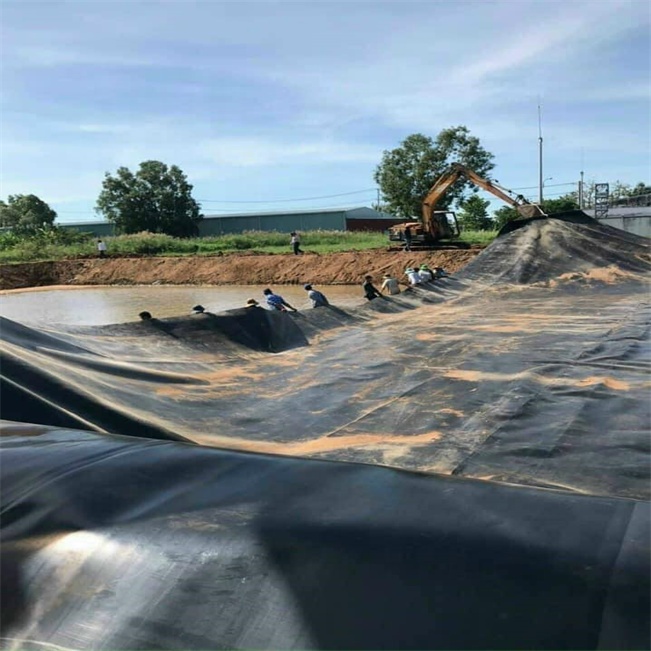 Industrial Design Style HDPE Geomembrane in Black for Waterproof Artificial Lake Tank