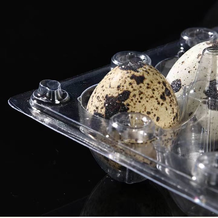18 Hole Blister Clamshell Hinged Egg Plastic Packaging Disposable Quail Egg Cartons