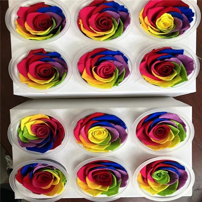 rainbow rose Eternal real preserved rainbow roses 5-6cm Fresh Stabilized rainbow rose gift
