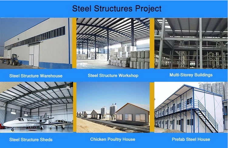 Modern Light Steel Structure Warehouse Building Professional ISO 9001