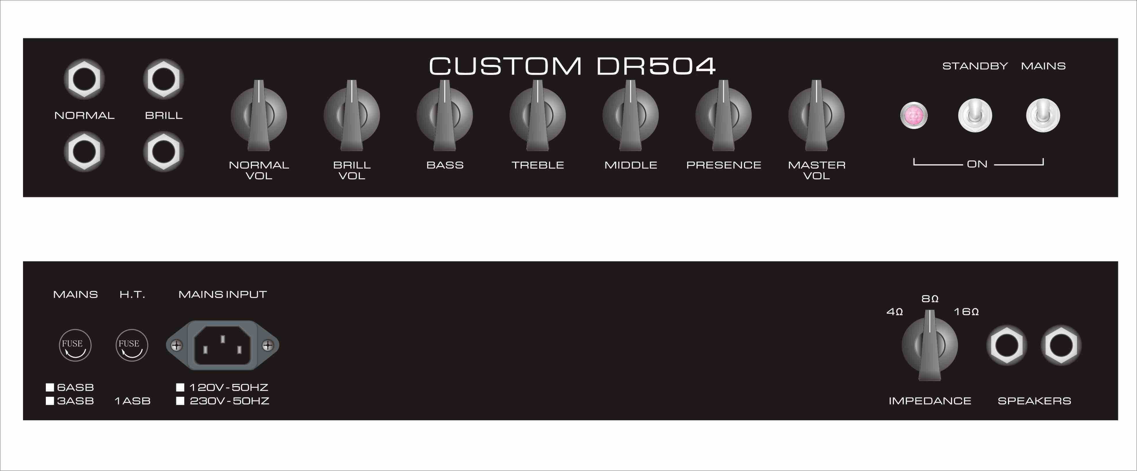 Handwired DR504 Custom 50W Guitar Amplifier Head with 2 X EL34 Output Valves in Power Stage and 4 X ECC83 Pre-amp Valve