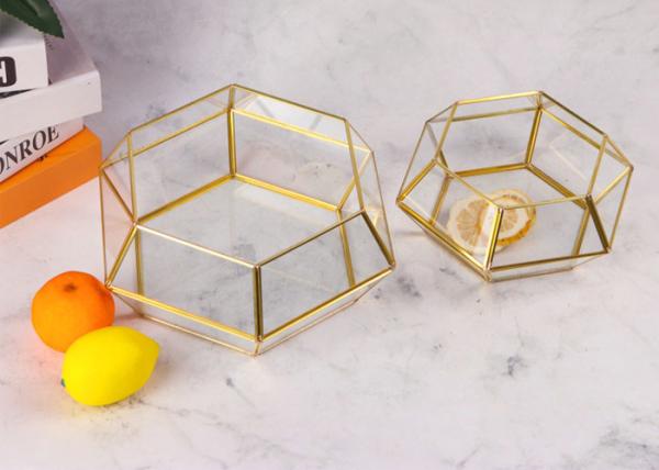 Brass copper glass artifact rimmed Display box hexagonal geometric plant