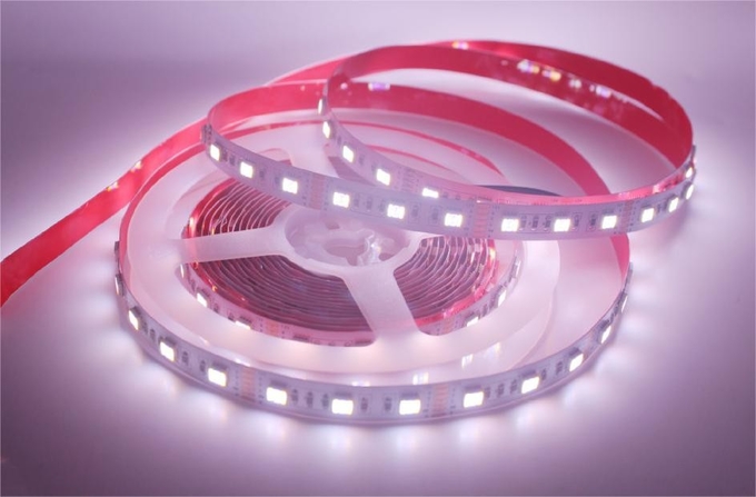 12mm RGB Led Strip SMD 5050 RGB CCT Adjustable Led Strip Light Multi Color