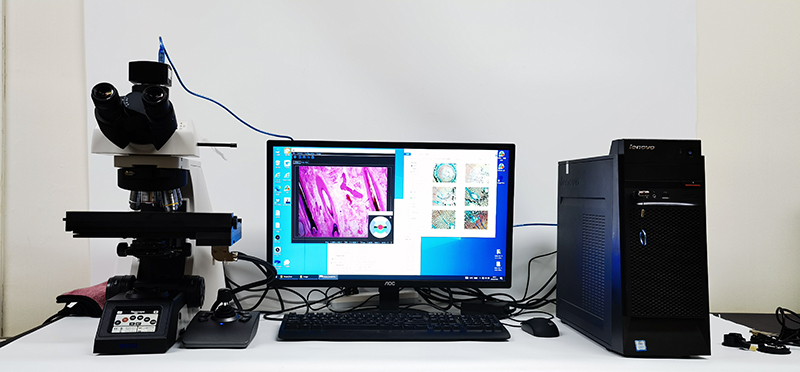 Research Scientific Full Auto Motorized Opto-Edu Binocular Biological Microscope A12.1095