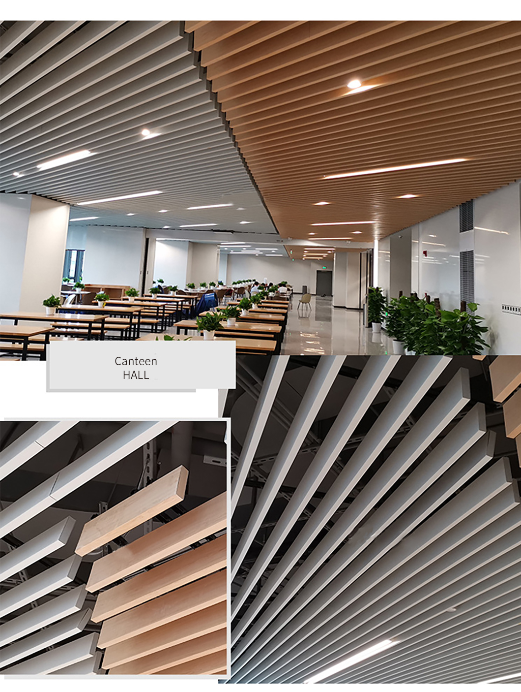 Modern Design Environment Friendly Fiberglass Ceiling Board For Indoor Sound Absorption