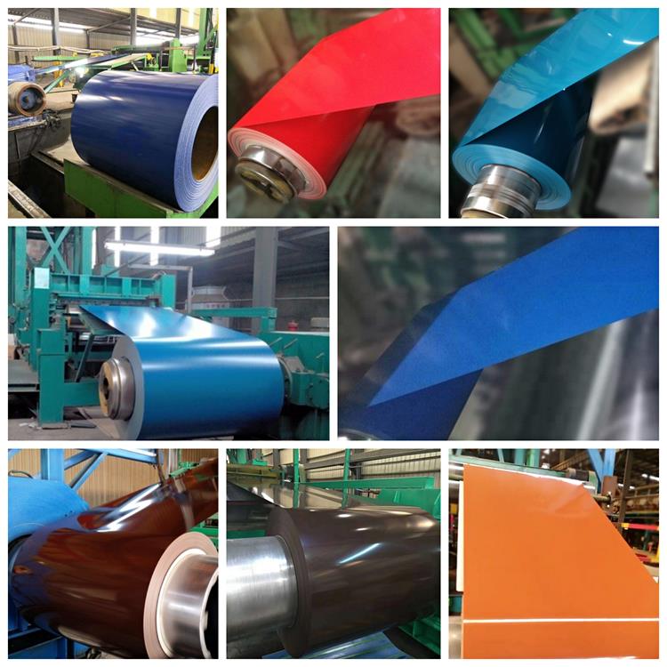 Length In Coil 65mn Hot Rolled Cold Rolled/Galvanized PPGI Steel Coils for Roofing Sheet in RALColor