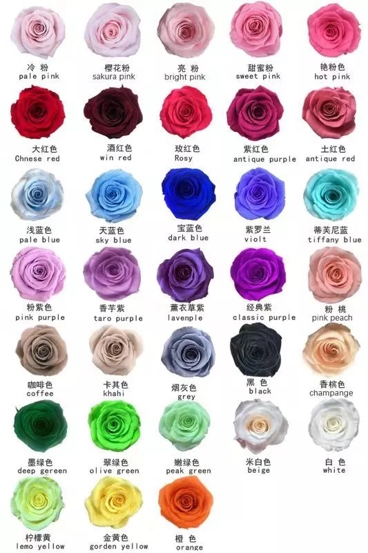 Wholesale real preserved rose head with fresh rose smell everlasting rose
