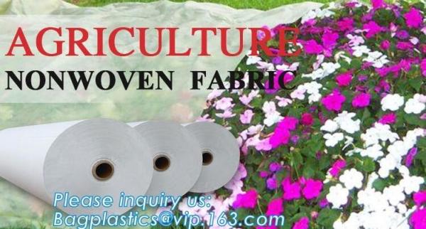 Quality ground cover fabrc mesh, non woven mesh, agriculture nonwoven fabric,