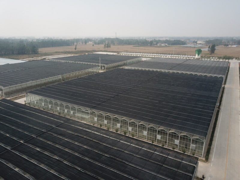 Hydroponic System for Aquaponics in Multi-Span Agricultural Greenhouse