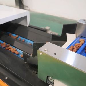 Precision Elevating Date Quality Assurance With Advanced Dates Sorting Machine