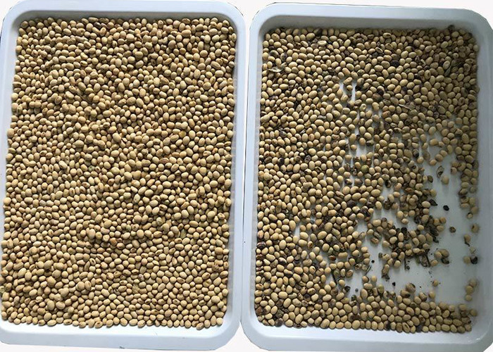 Recycling 3 Channels CCD Soybean Color Sorter Automatic RGB Technology