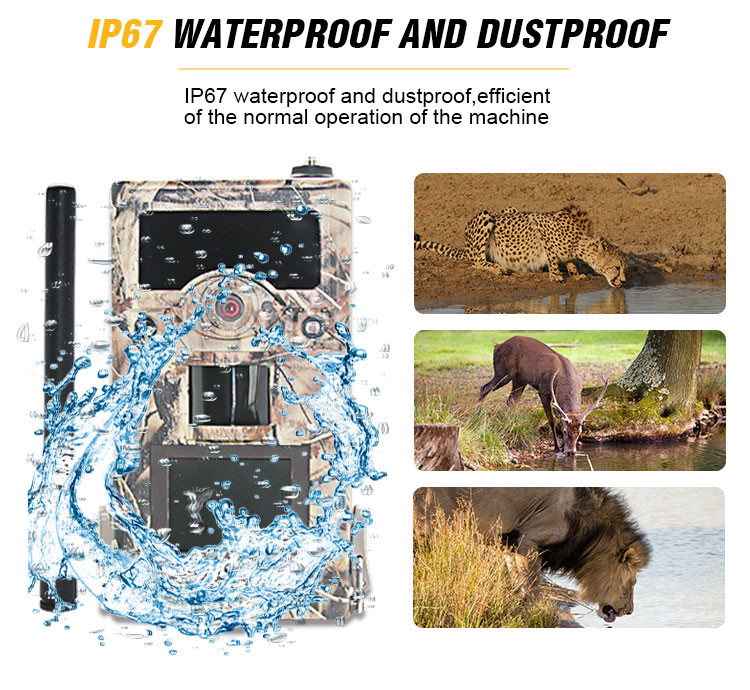 250g Scouting Trail Camera That Sends Pictures To Cell Phone / 12mp 3g Hunting Camera Waterproof hunting camera