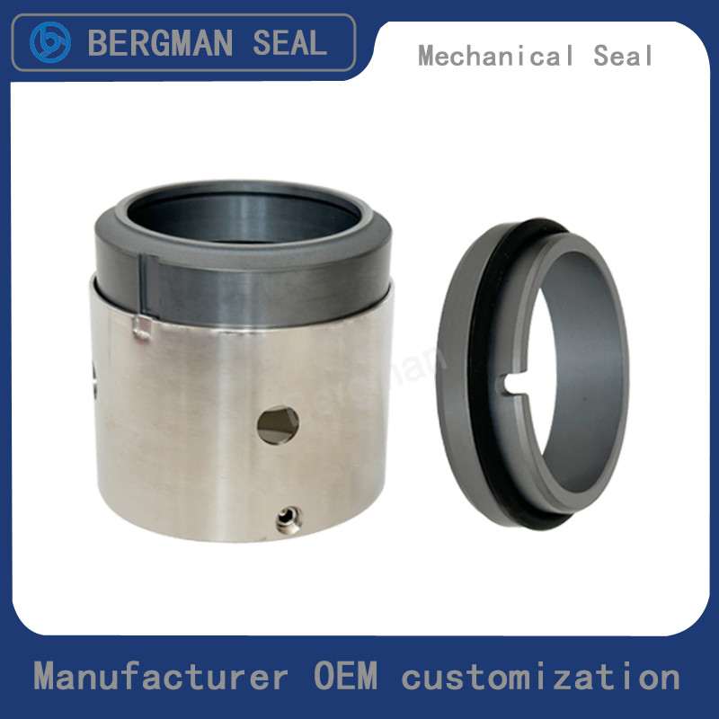 M74D M74F 20mm-100mm G60 G4 G6 G9 G13 G16 BS Bo BP Pump Mechanical Seal